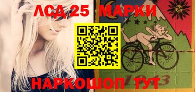 крисы Кулебаки