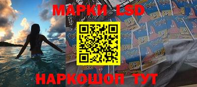 крисы Кулебаки