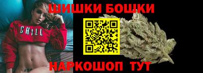 крисы Кулебаки