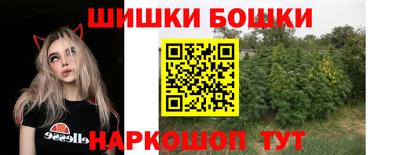 крисы Кулебаки