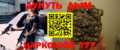 крисы Кулебаки