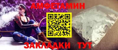 крисы Кулебаки