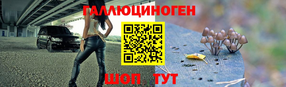Псилоцибиновые грибы Magic Shrooms  Вход с VPN  Симферополь 